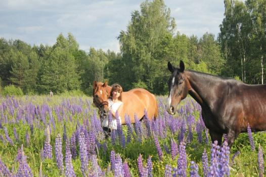 Детский лагерь «Horse Paradise», Владимирская область - , купить путевку