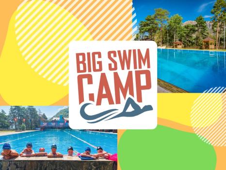 Детский лагерь «Big Swim Camp», Яхрома - , купить путевку