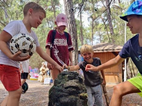 Детский лагерь «ChessVille English Camp», Абхазия - , купить путевку